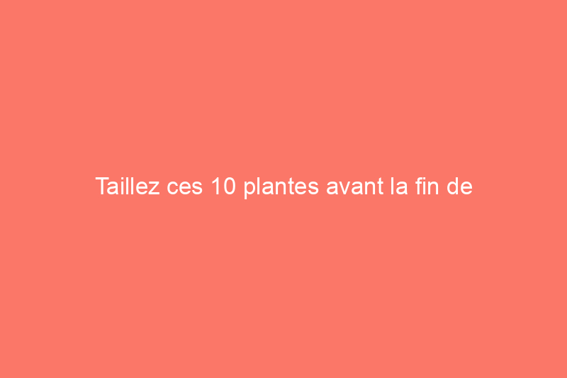 Taillez ces 10 plantes avant la fin de l'été (votre futur vous remerciera)