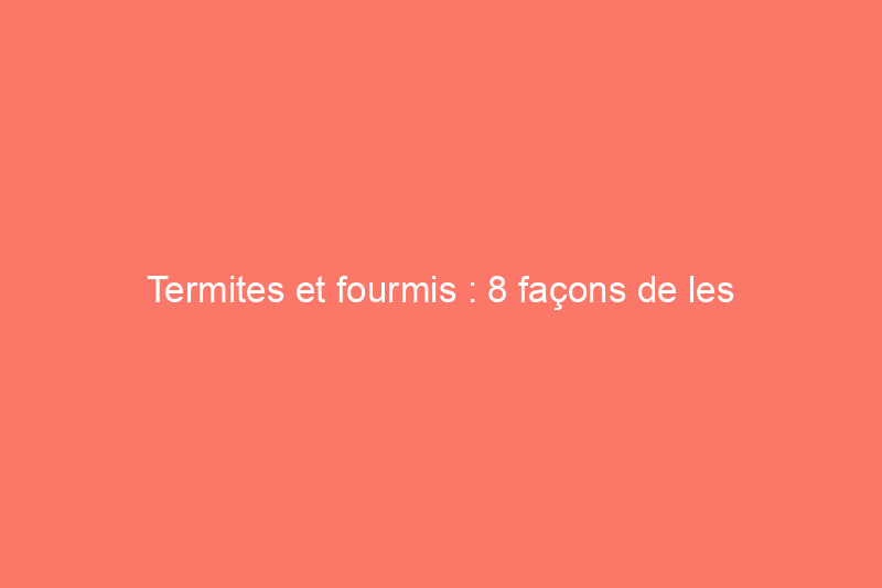 Termites et fourmis : 8 façons de les différencier