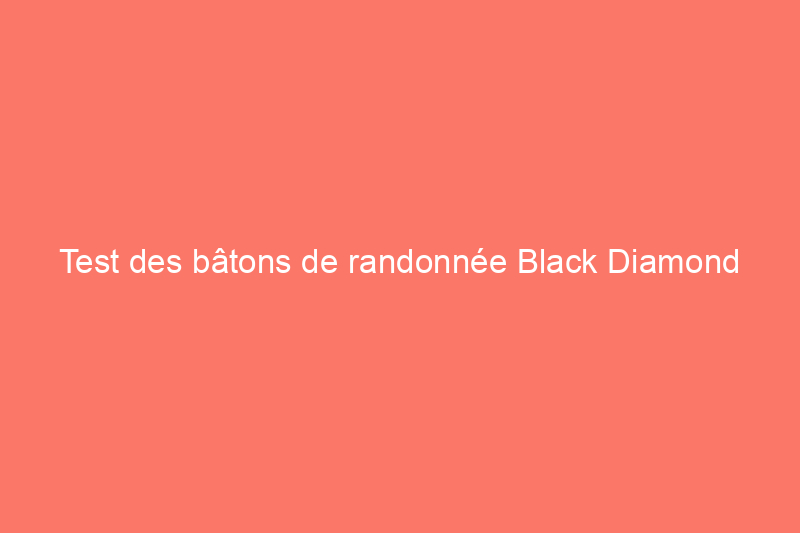 Test des bâtons de randonnée Black Diamond Pursuit FLZ : des bâtons de voyage conçus pour la plupart des aventures