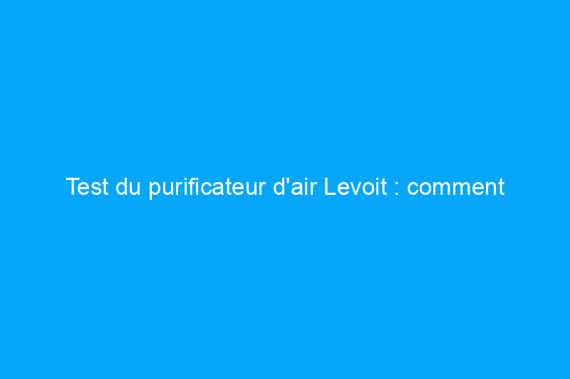 Test du purificateur d'air Levoit : comment ce purificateur d'air économique se comporte-t-il lors des tests ?