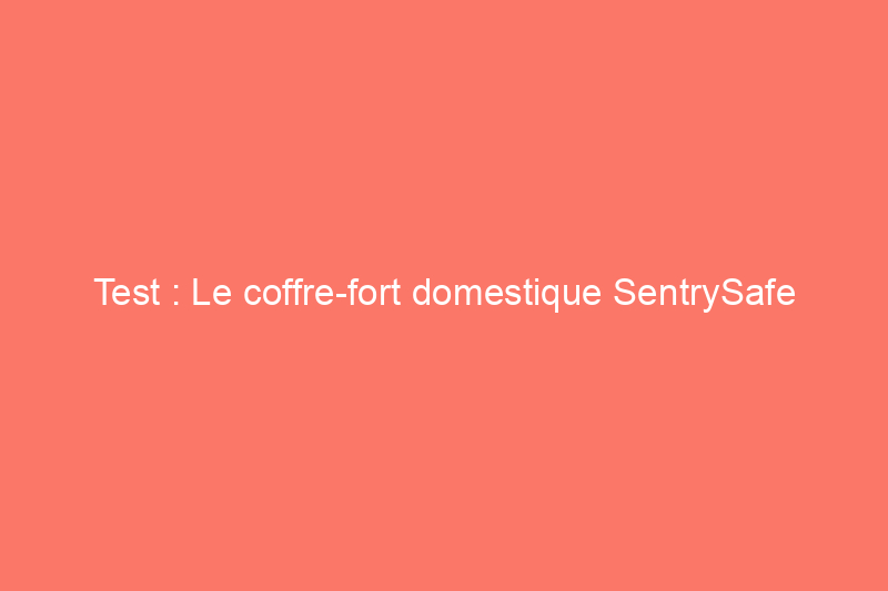 Test : Le coffre-fort domestique SentrySafe peut-il résister à un feu de joie ?