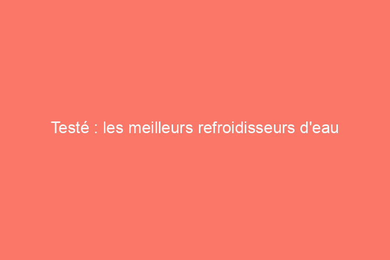 Testé : les meilleurs refroidisseurs d'eau pour les maisons d'aujourd'hui