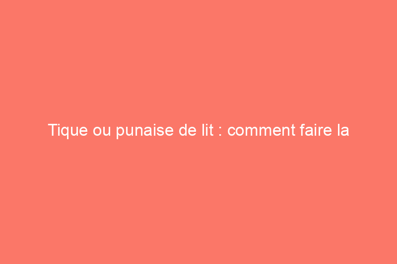 Tique ou punaise de lit : comment faire la différence entre ces nuisibles notoires