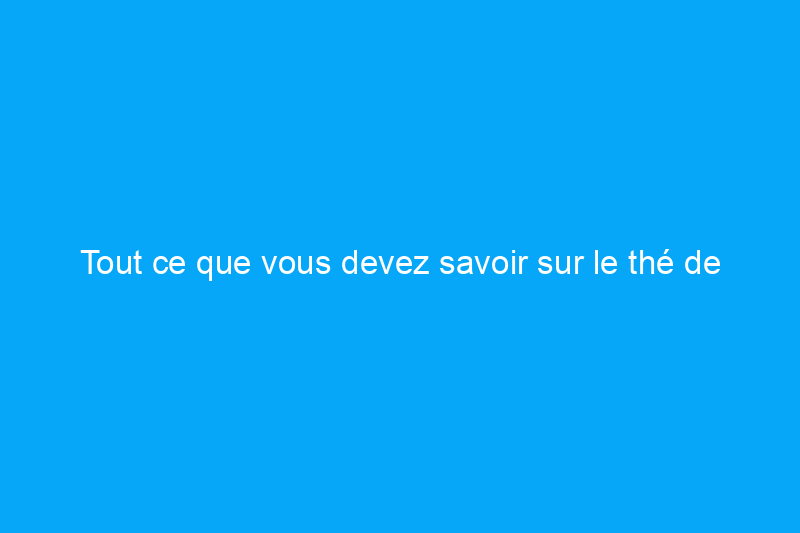 Tout ce que vous devez savoir sur le thé de compost