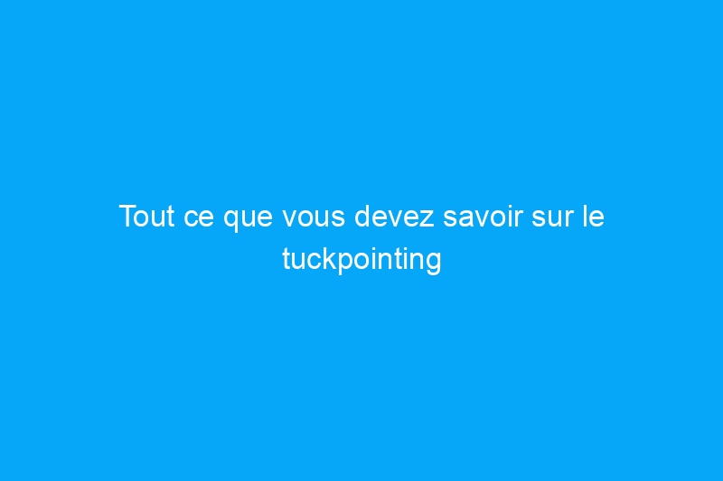 Tout ce que vous devez savoir sur le tuckpointing