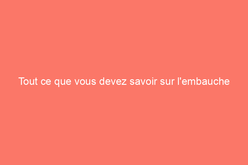 Tout ce que vous devez savoir sur l'embauche pour le ramonage des cheminées