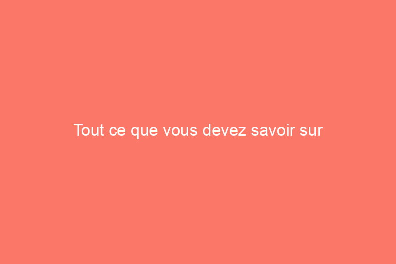 Tout ce que vous devez savoir sur l'entretien des bégonias