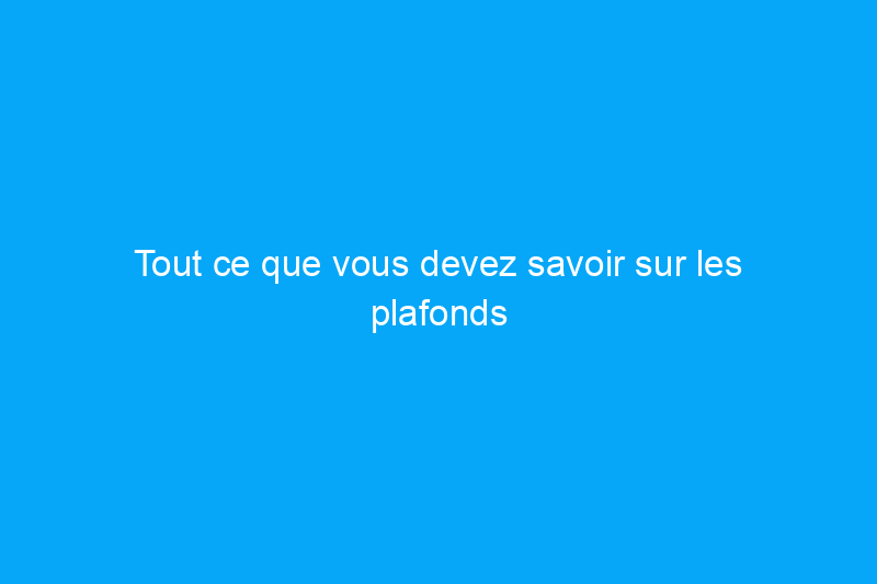 Tout ce que vous devez savoir sur les plafonds lambrissés