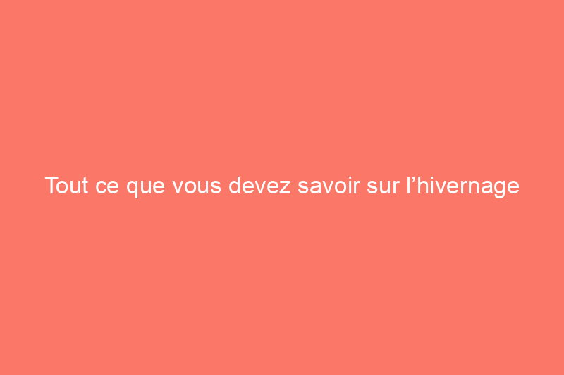 Tout ce que vous devez savoir sur l’hivernage des surfaces en béton