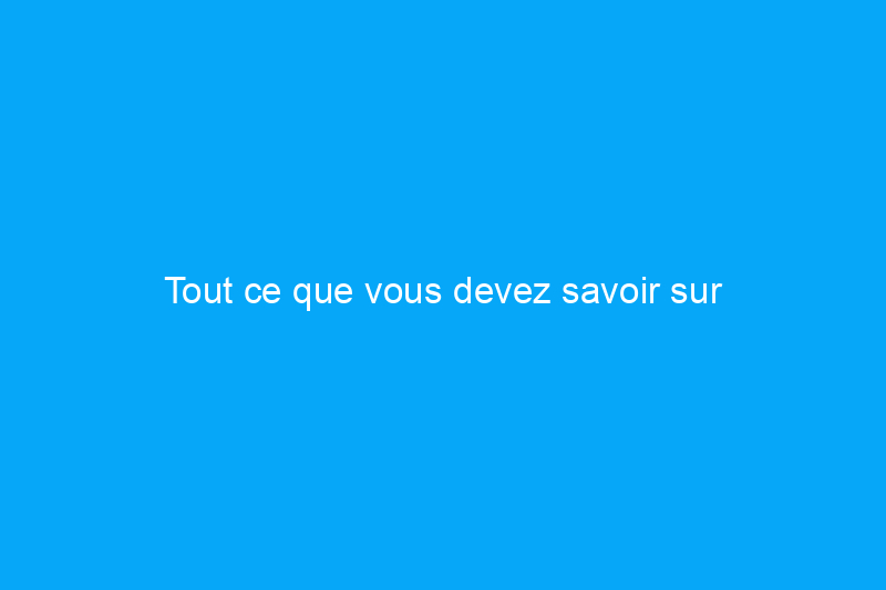 Tout ce que vous devez savoir sur l'orientation du ventilateur de plafond