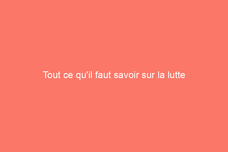 Tout ce qu'il faut savoir sur la lutte contre les racines des arbres dans les égouts