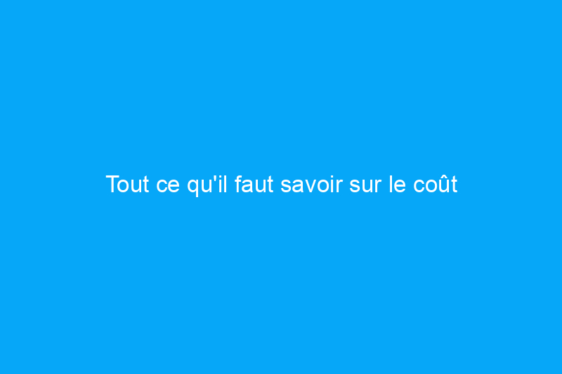 Tout ce qu'il faut savoir sur le coût d'un système d'aspirateur central