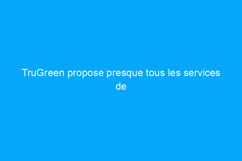 TruGreen propose presque tous les services de pelouse dont un propriétaire peut avoir besoin, à l'exception d'un que nous ne pouvons ignorer