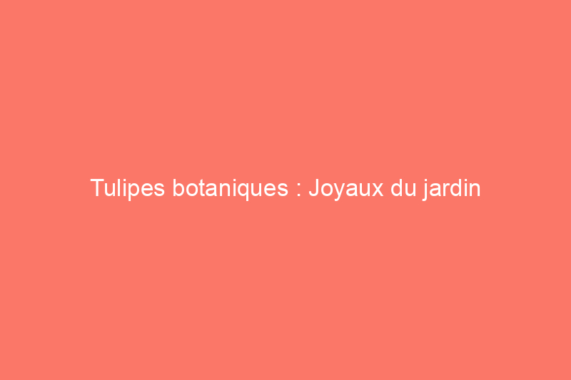 Tulipes botaniques : Joyaux du jardin