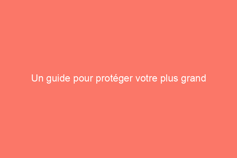 Un guide pour protéger votre plus grand investissement contre les insectes xylophages