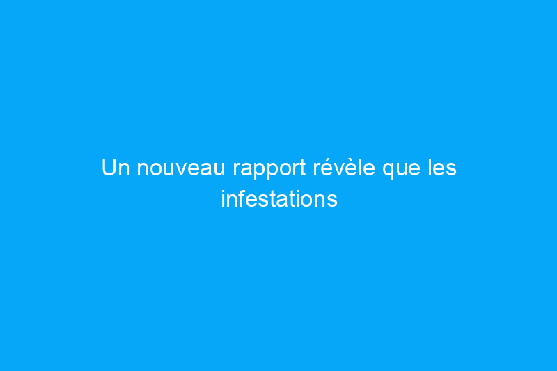 Un nouveau rapport révèle que les infestations de moustiques sont les plus graves dans ces 50 villes américaines