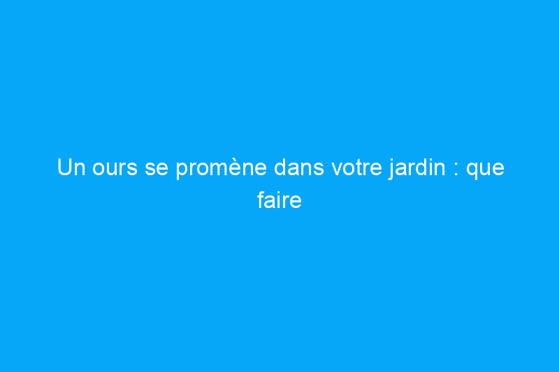 Un ours se promène dans votre jardin : que faire maintenant ?