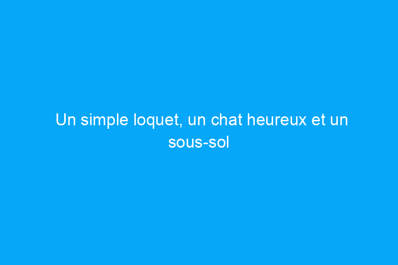 Un simple loquet, un chat heureux et un sous-sol sans chien