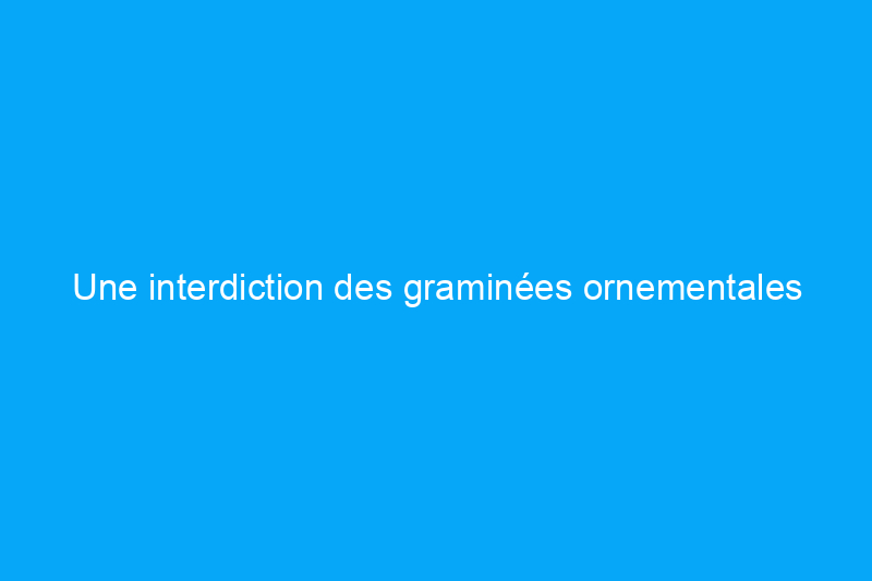 Une interdiction des graminées ornementales pourrait-elle contribuer à la conservation de l’eau ?