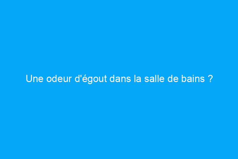 Une odeur d'égout dans la salle de bains ? Un plombier expérimenté vous explique comment procéder