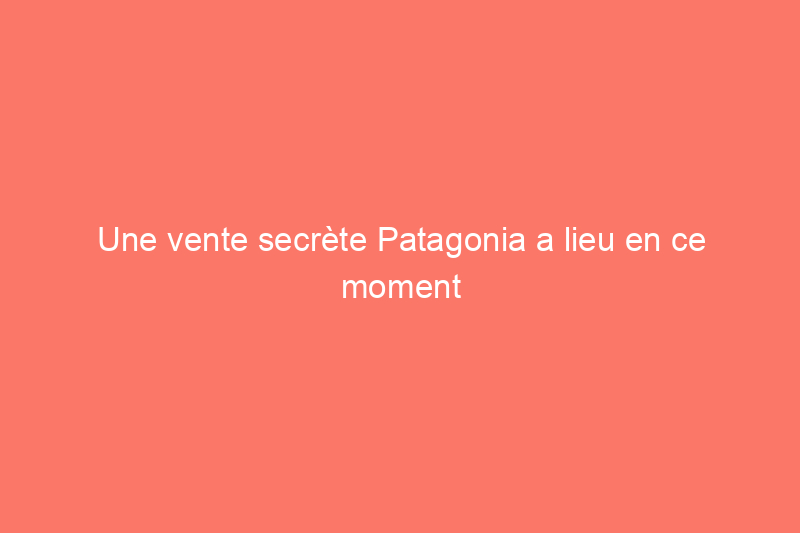 Une vente secrète Patagonia a lieu en ce moment