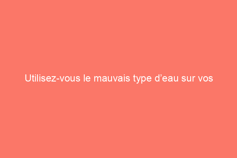 Utilisez-vous le mauvais type d’eau sur vos plantes d’intérieur ?