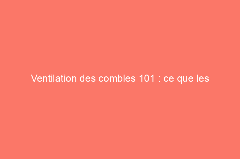 Ventilation des combles 101 : ce que les propriétaires doivent savoir