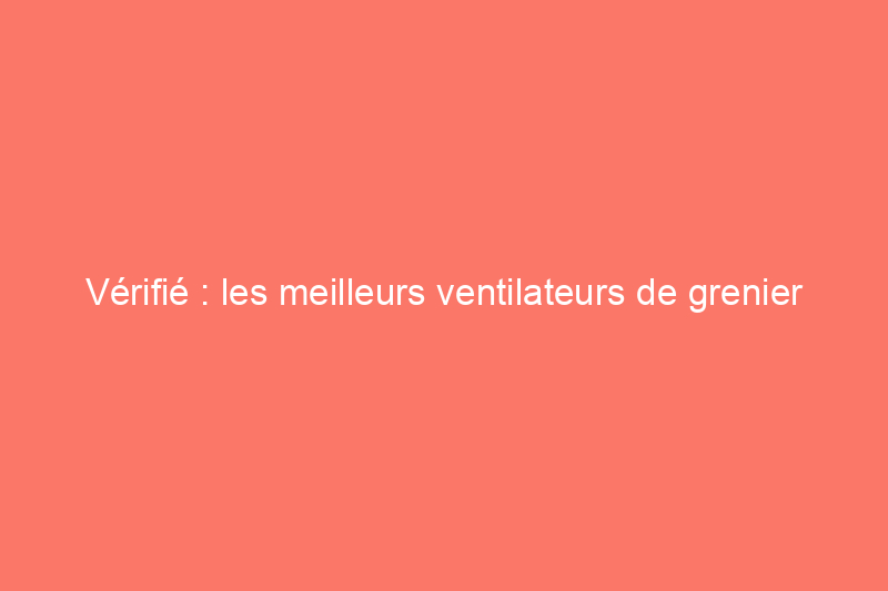 Vérifié : les meilleurs ventilateurs de grenier pour la maison d'aujourd'hui