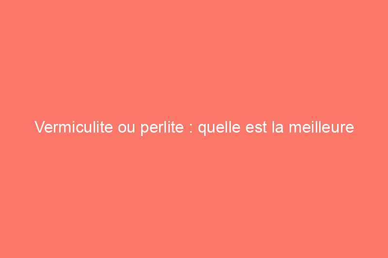 Vermiculite ou perlite : quelle est la meilleure solution pour vos plantes en pot ?