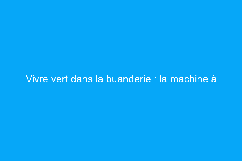 Vivre vert dans la buanderie : la machine à laver manuelle