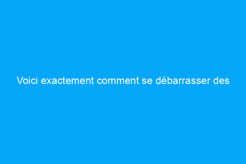 Voici exactement comment se débarrasser des punaises d'eau une fois pour toutes