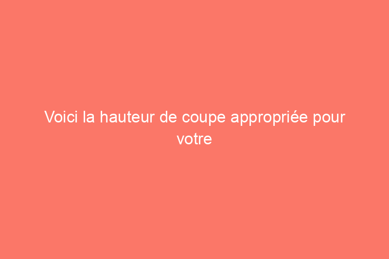 Voici la hauteur de coupe appropriée pour votre pelouse, selon les experts