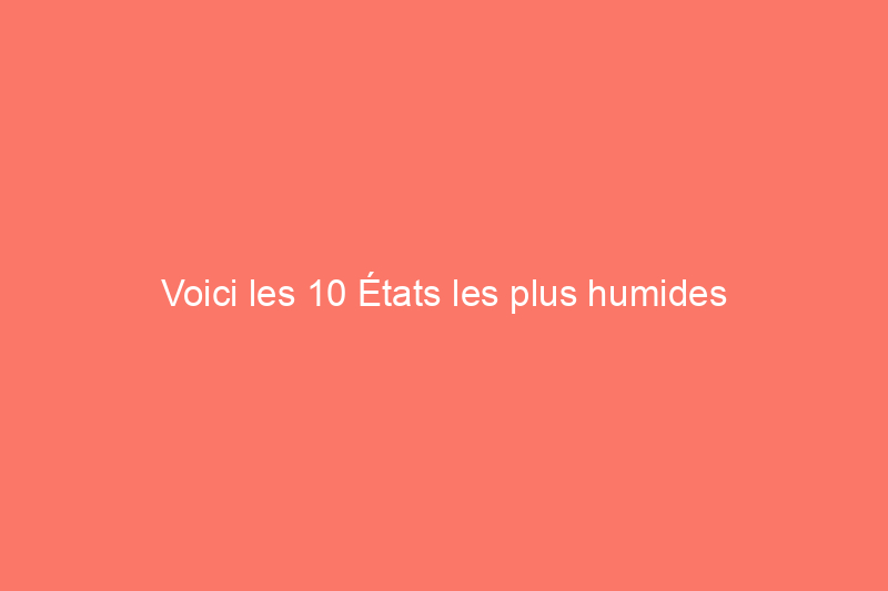 Voici les 10 États les plus humides d'Amérique