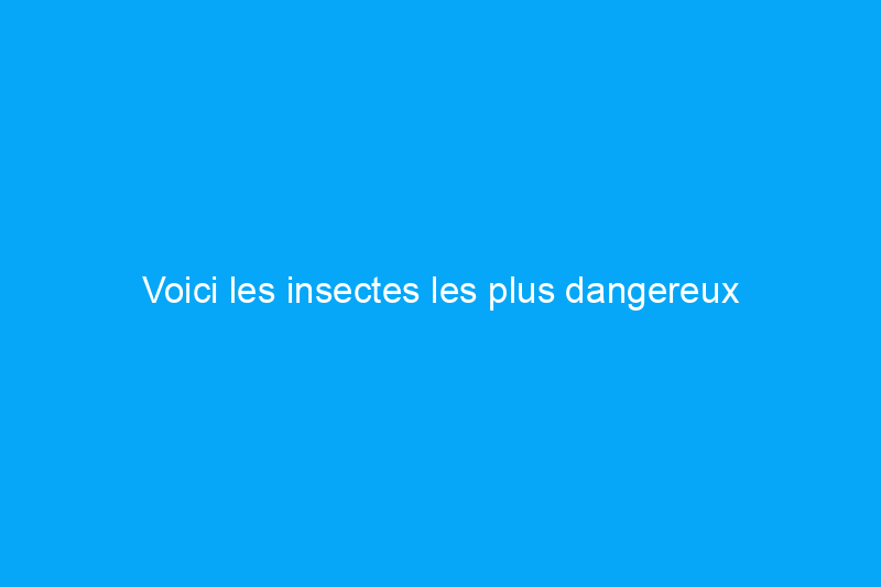 Voici les insectes les plus dangereux d'Amérique