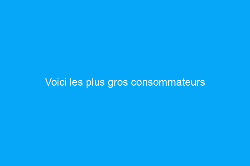 Voici les plus gros consommateurs d’électricité de votre maison