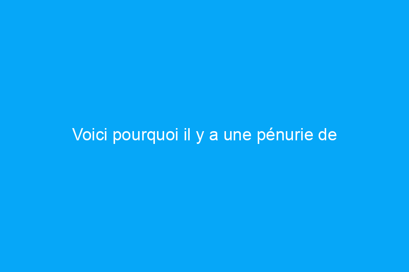 Voici pourquoi il y a une pénurie de générateurs cet été et voici ce qu'il faut faire