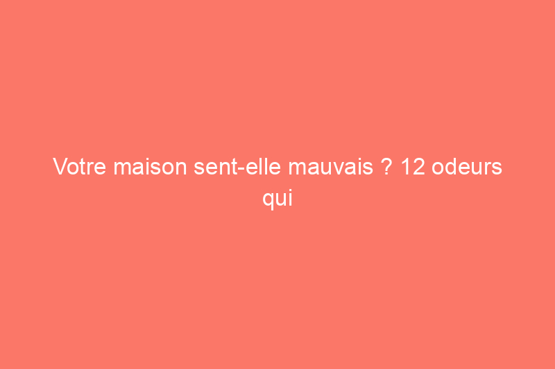 Votre maison sent-elle mauvais ? 12 odeurs qui pourraient être le signe d'un gros problème