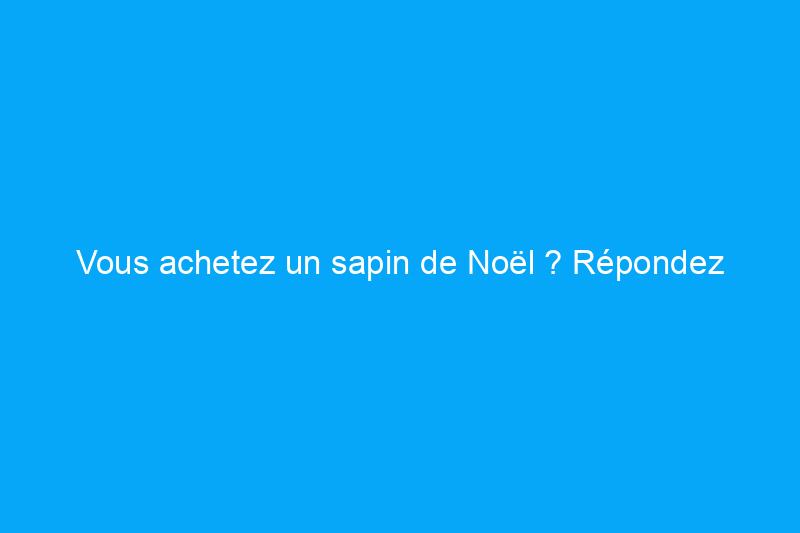 Vous achetez un sapin de Noël ? Répondez d'abord à ces 3 questions