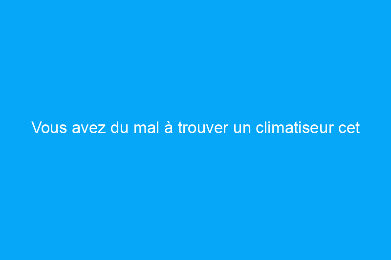 Vous avez du mal à trouver un climatiseur cet été ? Ces détaillants en ont encore