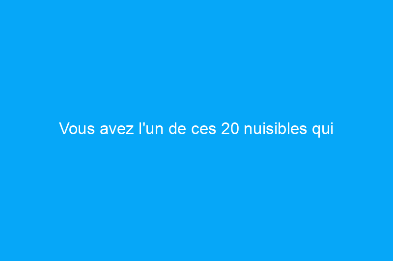 Vous avez l'un de ces 20 nuisibles qui envahit votre maison ? Les professionnels de cette entreprise peuvent être votre meilleur choix