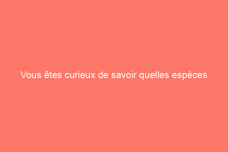 Vous êtes curieux de savoir quelles espèces d'oiseaux vivent dans votre jardin ? Cette application a les réponses