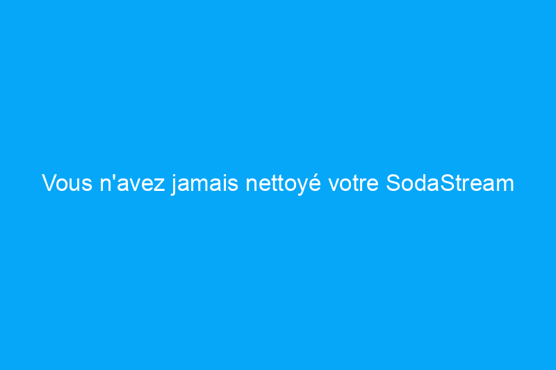 Vous n'avez jamais nettoyé votre SodaStream ? Voici pourquoi vous devriez le faire et comment le faire