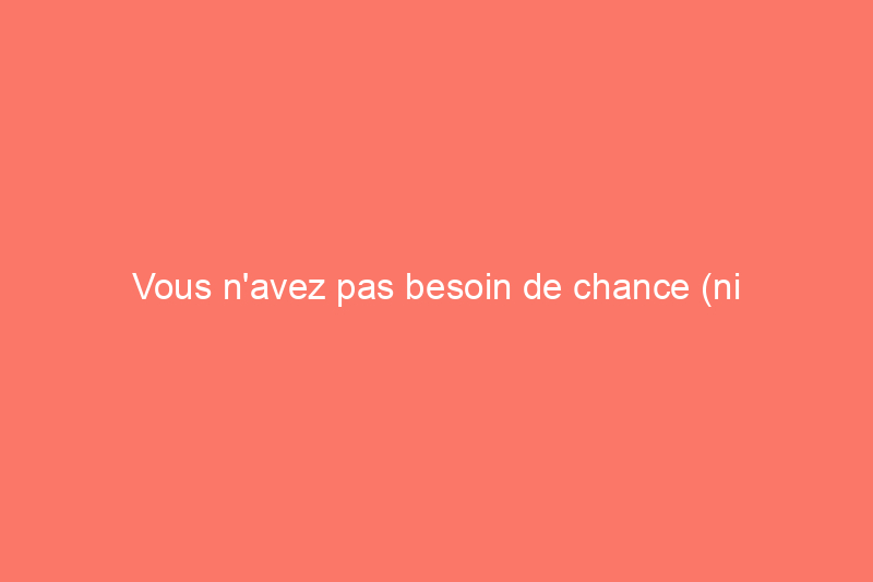 Vous n'avez pas besoin de chance (ni d'avoir la main verte) pour maîtriser l'entretien du bambou porte-bonheur