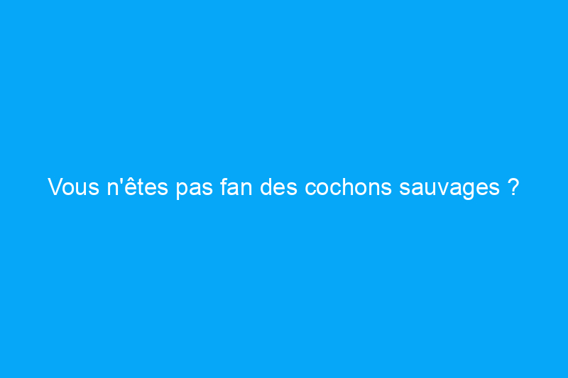 Vous n'êtes pas fan des cochons sauvages ? Voici 7 façons de les éloigner de votre jardin