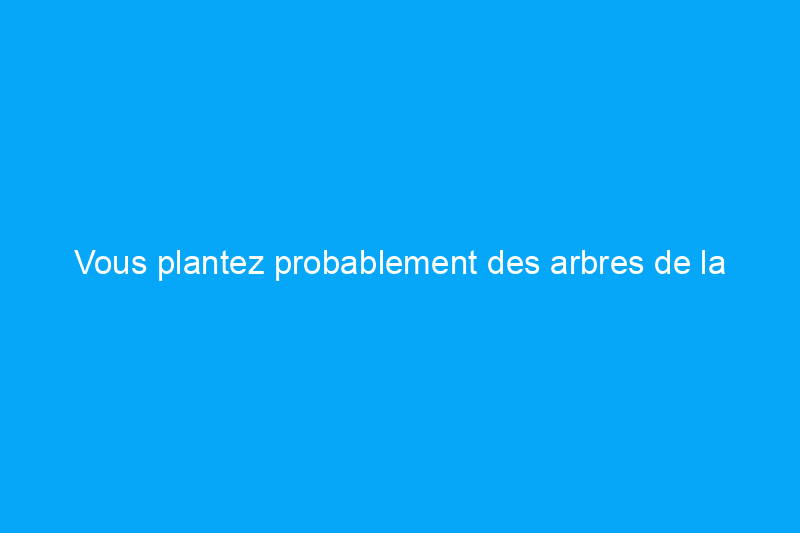 Vous plantez probablement des arbres de la mauvaise façon – Voici comment le faire de manière responsable à l'occasion de la Journée de l'arbre