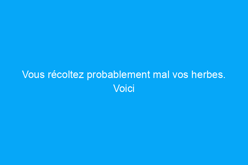 Vous récoltez probablement mal vos herbes. Voici comment le faire correctement pour un rendement maximal