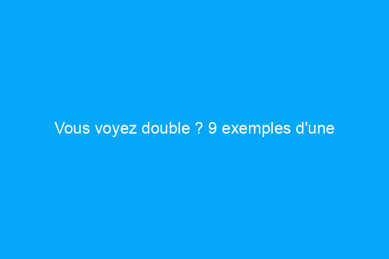 Vous voyez double ? 9 exemples d'une tendance croissante dans la cuisine