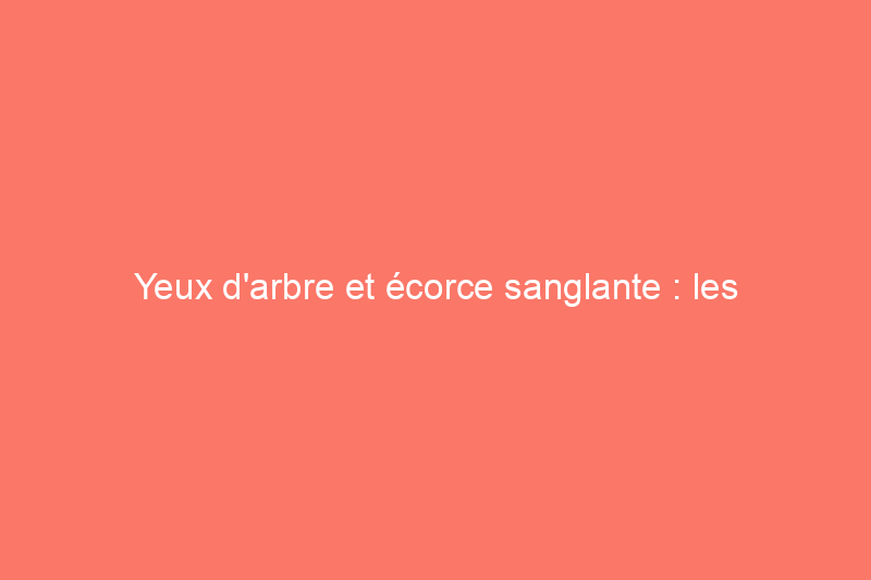 Yeux d'arbre et écorce sanglante : les caractéristiques effrayantes des arbres et leur signification