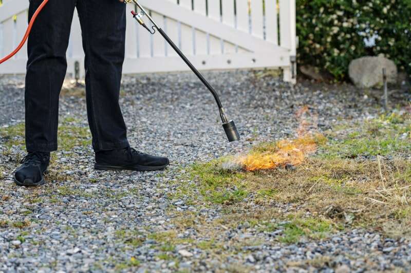 Brûleur de mauvaises herbes à gaz lance brûlant des mauvaises herbes sur une allée en gravier. Le brûlage des mauvaises herbes est une solution sans herbicide pour éliminer les mauvaises herbes des allées et des zones pavées, mais les dangers sont évidents dans les régions touchées par la sécheresse où le feu peut se propager rapidement. Couleur, format horizontal avec un peu d'espace pour la copie.