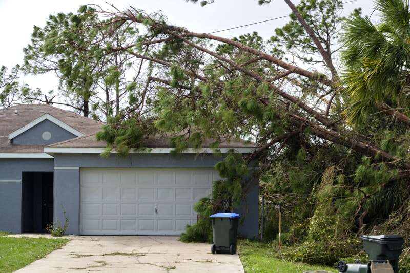 Un grand arbre tombe sur le toit d'une maison.